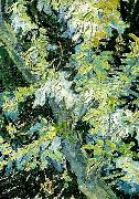 Vincent Van Gogh, blommande akaciagrenar